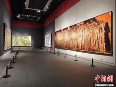 300余件向日葵作品亮相山东 刻画生命记忆